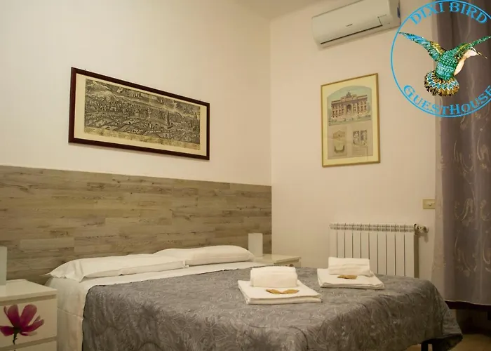 Dixi Bird Guesthouse