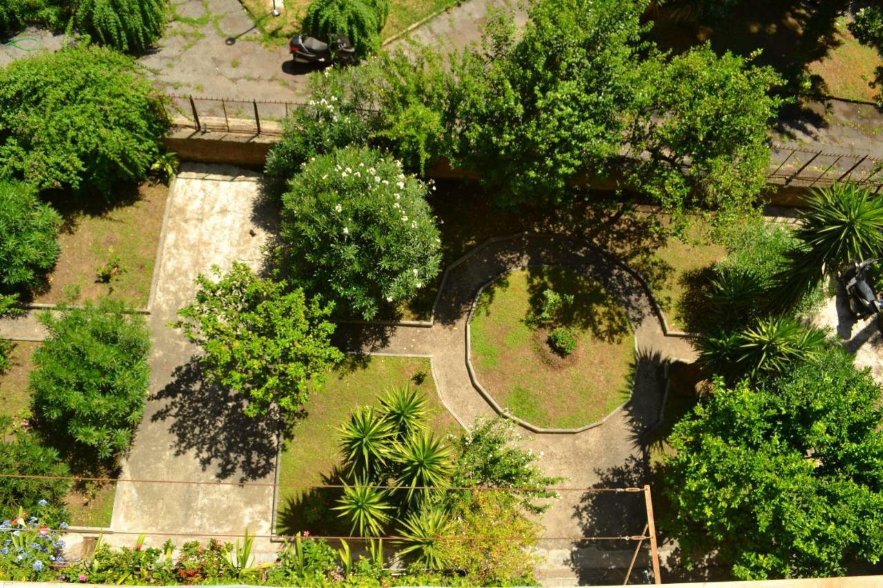 Dixi Bird Guesthouse