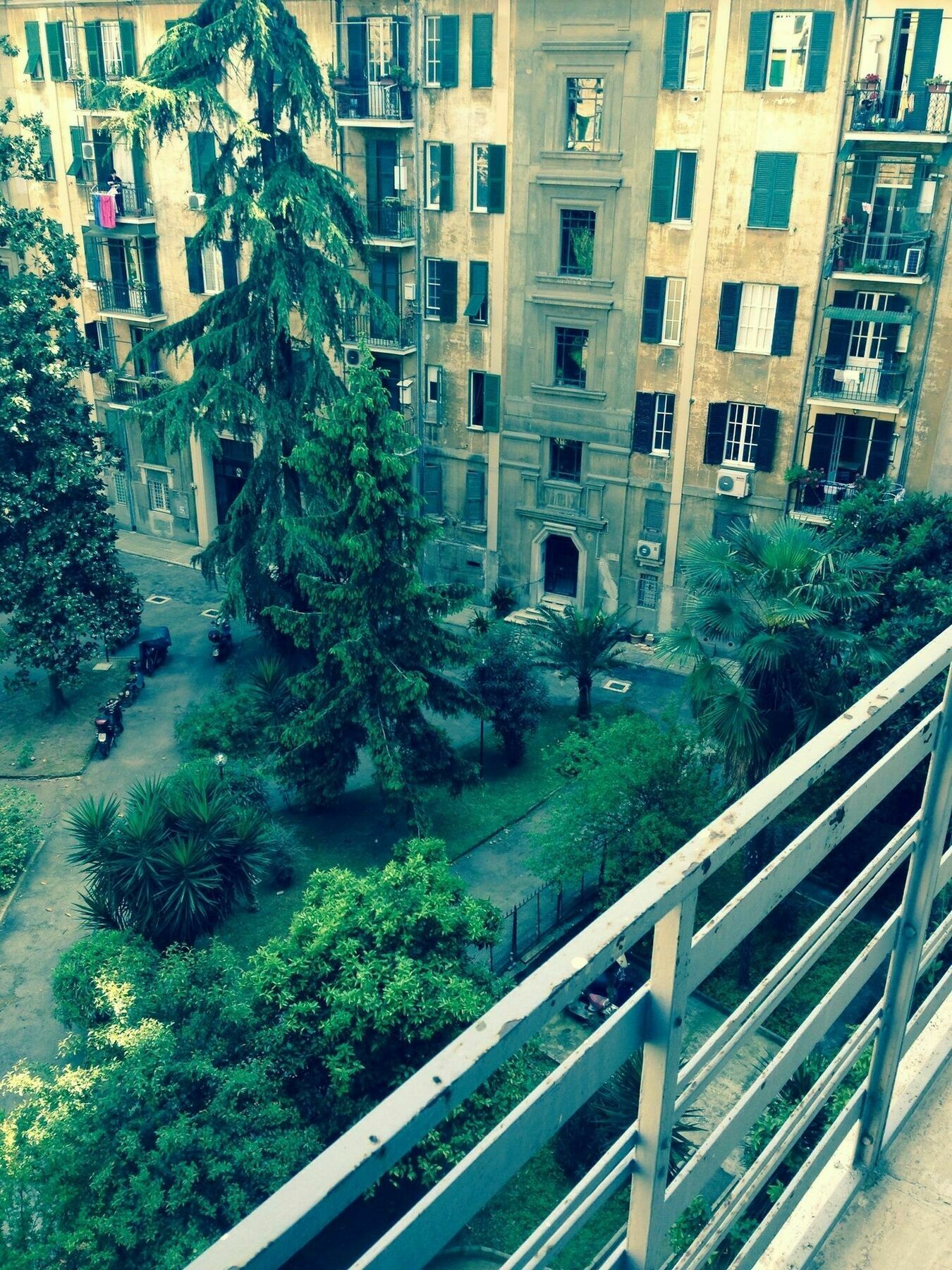 Dixi Bird Guesthouse Guest house Rome